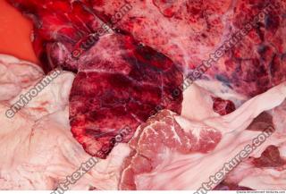 RAW meat pork 0220